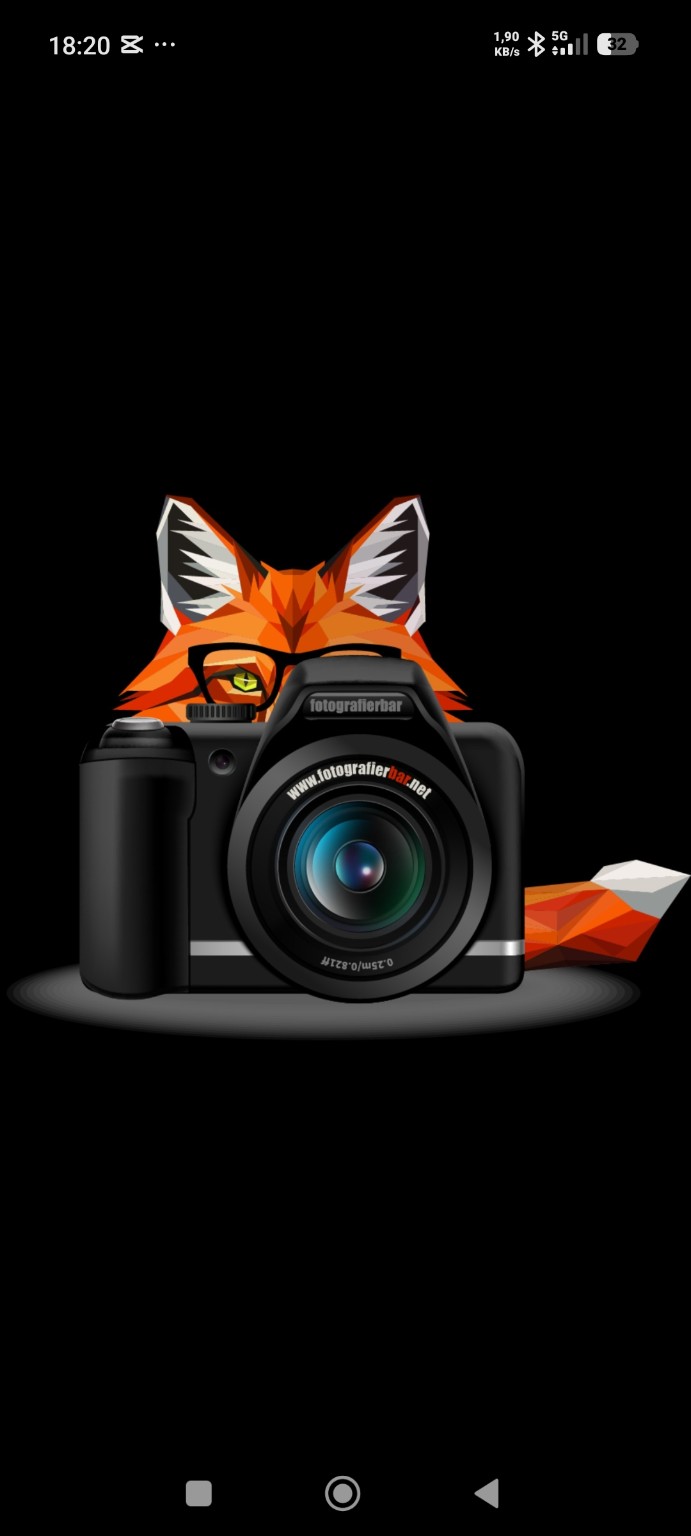 Fuchs mit Kamera – fotografierbar Logo